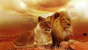 recover personal power
