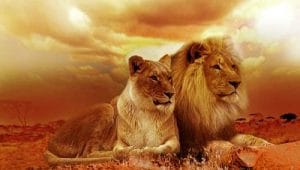 personal power